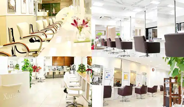 ザナドゥーグループ店舗のご紹介